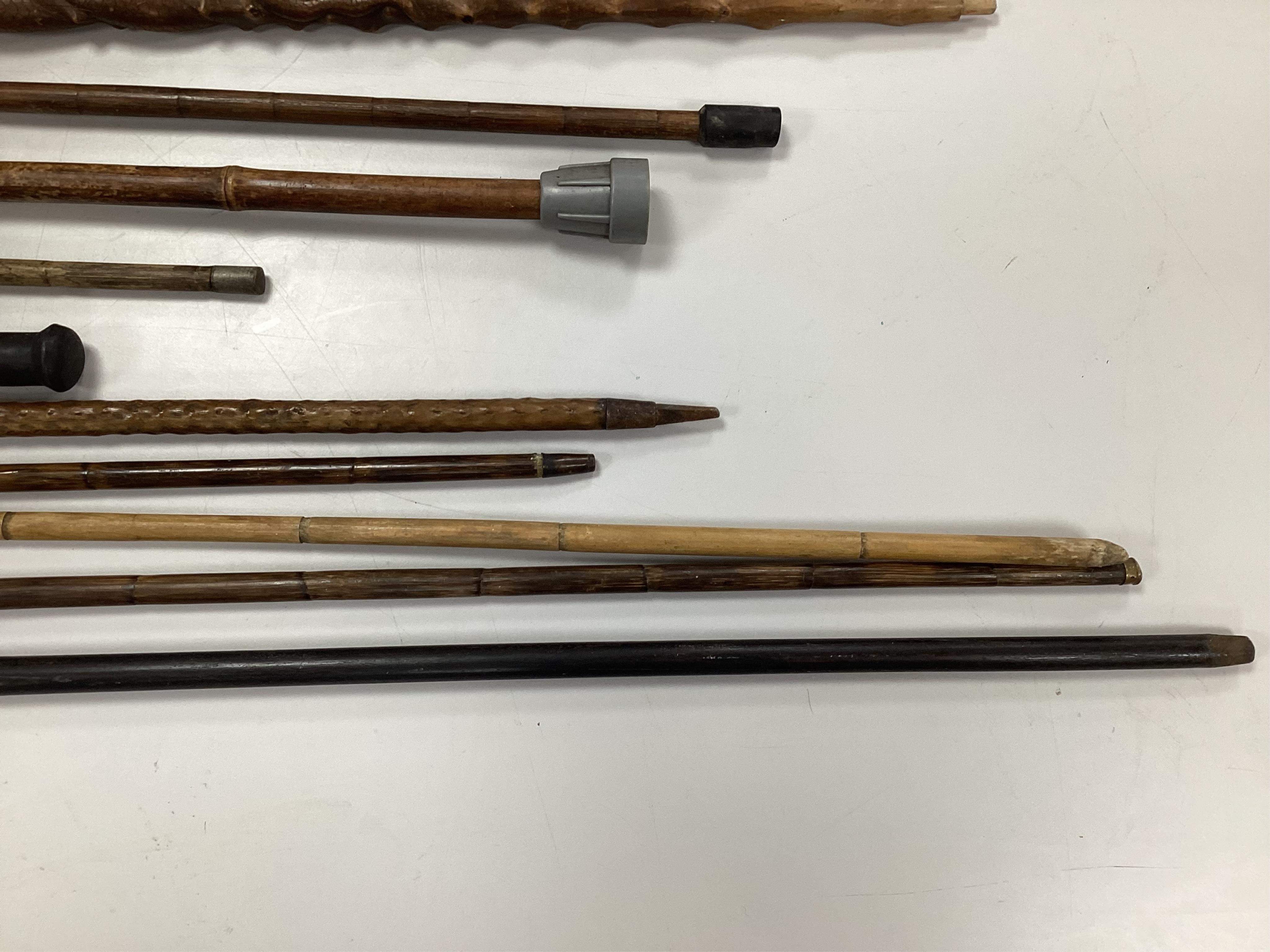 A collection of ten carved walking sticks, some silver mounted